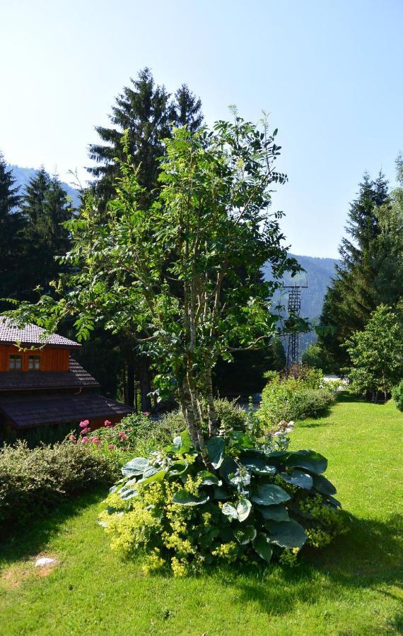 Die Kalsbergerin Ferienwohnung Fuer Geniesser Donnersbachwald Bagian luar foto